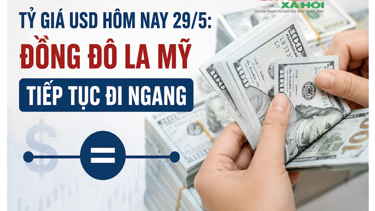 سعر صرف الدولار الأمريكي يعكس استقرارًا يوم 29 مايو